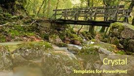  Presentation with yellow wood - Amazing theme having autumn forest with wood bridge backdrop and a tawny brown colored foreground