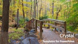  Presentation with wood bridge - Slide set with irises isolated on white oil painting on canvas background and a sky blue colored foreground