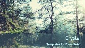  Presentation with woodland - Audience pleasing presentation design consisting of autumn forest backdrop and a ocean colored foreground