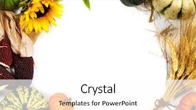  Presentation with thanksgiving - Amazing presentation theme having autumn frame over white thanksgiving backdrop and a white colored foreground