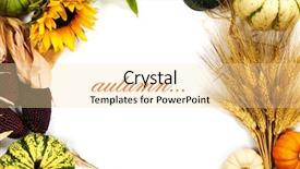  Presentation with sample - Amazing presentation theme having autumn frame over white thanksgiving backdrop and a lemonade colored foreground