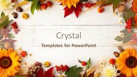  Presentation with leaves flat lay - Amazing PPT theme having autumn-frame-with-wheat-ears backdrop and a cream colored foreground