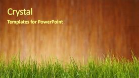  Presentation with garden tools - Slide deck having autumn garden tools background background and a tawny brown colored foreground