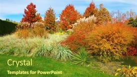  Presentation with trees - Theme consisting of autumn-garden-with-green-grass background and a  colored foreground