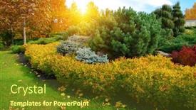  Presentation with trees - PPT theme having autumn-garden-with-green-grass background and a tawny brown colored foreground