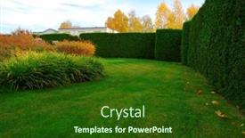  Presentation with trees - PPT theme enhanced with autumn-garden-with-green-grass background and a forest green colored foreground
