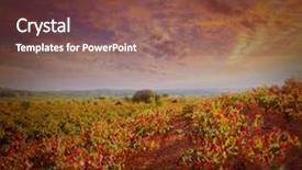  Presentation with vineyards - Cool new PPT theme with autumn-golden-red-vineyards-sunset backdrop and a tawny brown colored foreground