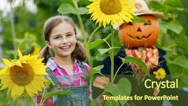  Presentation with harvest is plentious - Amazing slide set having autumn harvest - scarecrow and happy backdrop and a tawny brown colored foreground