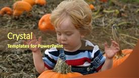  Presentation with search button searching information online - Presentation theme with autumn harvest festival pumpkins - end of the search background and a tawny brown colored foreground