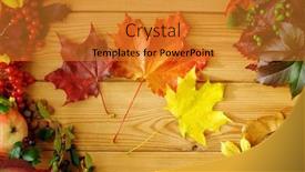  Presentation with fall leaves - PPT theme featuring autumn-harvest-frame-fall-leaves background and a  colored foreground