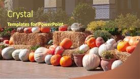  Presentation with harvest - PPT theme having autumn-harvest-of-pumpkins-colorful background and a tawny brown colored foreground