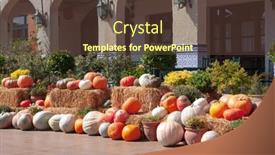  Presentation with harvest - PPT theme having autumn-harvest-of-pumpkins-street background and a tawny brown colored foreground