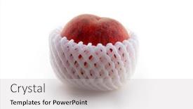  Presentation with polyethylene - Amazing PPT theme having autumn-harvested-peach-in-protective backdrop and a light gray colored foreground