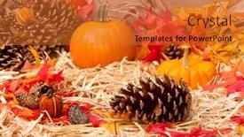  Presentation with pine cone - Audience pleasing theme consisting of autumn-holiday-theme-with-pumpkins backdrop and a red colored foreground