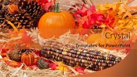  Presentation with base - PPT layouts featuring autumn-holiday-theme-with-pumpkins background and a gold colored foreground