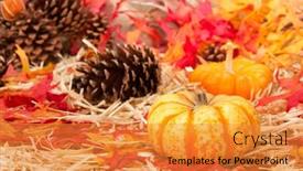  Presentation with base - Cool new slides with autumn-holiday-theme-with-pumpkins backdrop and a gold colored foreground