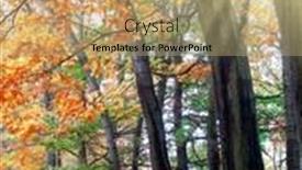  Presentation with czech republic - Colorful slide set enhanced with autumn-in-czech-republic backdrop and a coral colored foreground