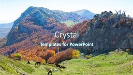  Presentation with autumn - Audience pleasing slide deck consisting of autumn-in-pollino-national-park backdrop and a ocean colored foreground