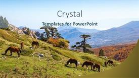  Presentation with national - Slide set having autumn-in-pollino-national-park background and a cool aqua colored foreground