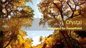  Presentation with nevada - Slides enhanced with autumn in sierra nevada background and a tawny brown colored foreground