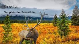  Presentation with fairy tale - Amazing presentation design having autumn in the rocky mountain backdrop and a light blue colored foreground