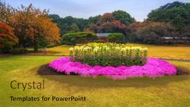 Presentation with tokyo - Slides enhanced with autumn-in-the-shinjuku-park background and a gold colored foreground