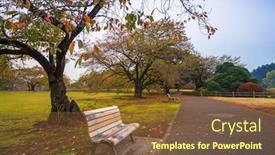  Presentation with tokyo - Presentation theme featuring autumn-in-the-shinjuku-park background and a tawny brown colored foreground