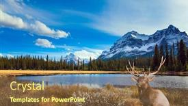  Presentation with journey - Audience pleasing slide set consisting of autumn-journey-to-the-rockies backdrop and a tawny brown colored foreground