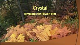  Presentation with fern - Beautiful PPT theme featuring autumn-landscape-after-rain-ocher backdrop and a tawny brown colored foreground