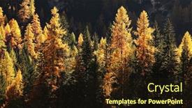  Presentation with europe - Amazing slide deck having autumn-landscape-in-dolomites-italy backdrop and a wine colored foreground