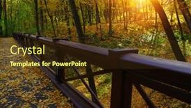  Presentation with forest bridge - Slides having autumn-landscape-in-the-forest background and a tawny brown colored foreground