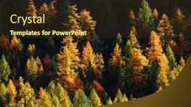  Presentation with autumn - Audience pleasing PPT theme consisting of autumn-landscape-in-val-di backdrop and a tawny brown colored foreground