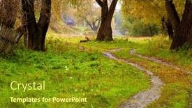  Presentation with trees - Amazing slides having autumn-landscape-old-trees-stretches backdrop and a gold colored foreground