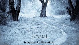  Presentation with trees - Theme consisting of autumn-landscape-old-trees-stretches background and a light blue colored foreground