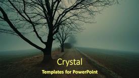  Presentation with foggy - PPT theme enhanced with autumn-landscape-on-a-foggy background and a wine colored foreground