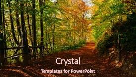  Presentation with woods - Colorful PPT theme enhanced with autumn landscape with a road in the woods backdrop and a wine colored foreground