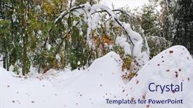  Presentation with fall foliage - Slide set having autumn landscape with an unexpected background and a  colored foreground