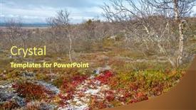  Presentation with finland - Audience pleasing slide deck consisting of autumn-landscape-with-frozen-colorful backdrop and a tawny brown colored foreground