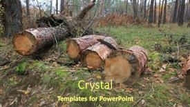  Presentation with pine forest - Slide set having autumn-landscape-with-pine-logs background and a  colored foreground