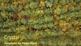  Presentation with fall leaves - Amazing PPT layouts having autumn-landscape-with-plantation-areas backdrop and a tawny brown colored foreground