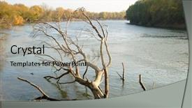  Presentation with tree river - Colorful presentation theme enhanced with autumn landscape with the dry tree which has fallen in the river backdrop and a light gray colored foreground