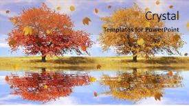  Presentation with autumn leaves falling - Amazing PPT theme having autumn landscape with the falling backdrop and a  colored foreground