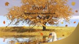  Presentation with autumn leaves falling - PPT theme having portrait of a young african american beautiful woman and a young man jogging in the city background and a tawny brown colored foreground