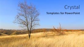  Presentation with autumn blue - Cool new PPT layouts with autumn-landscape-with-tree backdrop and a light blue colored foreground