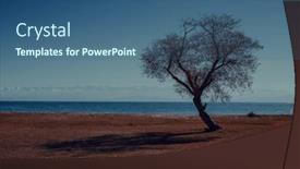  Presentation with tree - Presentation theme enhanced with autumn-landscape-with-tree background and a ocean colored foreground