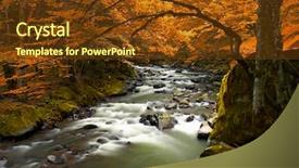  Presentation with trees - PPT layouts consisting of impasse - autumn landscape with trees background and a tawny brown colored foreground