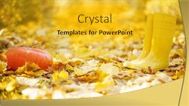  Presentation with fall leaves - PPT theme consisting of autumn-landscape-with-yellow-rubber background and a yellow colored foreground