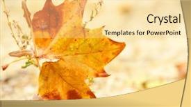  Presentation with stuck - Cool new slides with autumn leaf after a storm backdrop and a  colored foreground