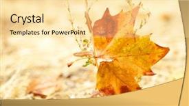  Presentation with stuck - Theme enhanced with duomo di santa lucia siracusa - syracuse cathedral background and a coral colored foreground