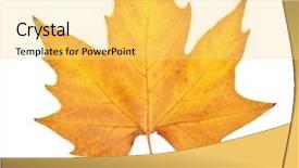  Presentation with element - Amazing slides having autumn leaf element of design backdrop and a yellow colored foreground